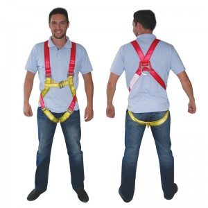http://www.planbsafety.com/1372-3229-thickbox/lalizas-adult-vestype-safety-harness.jpg